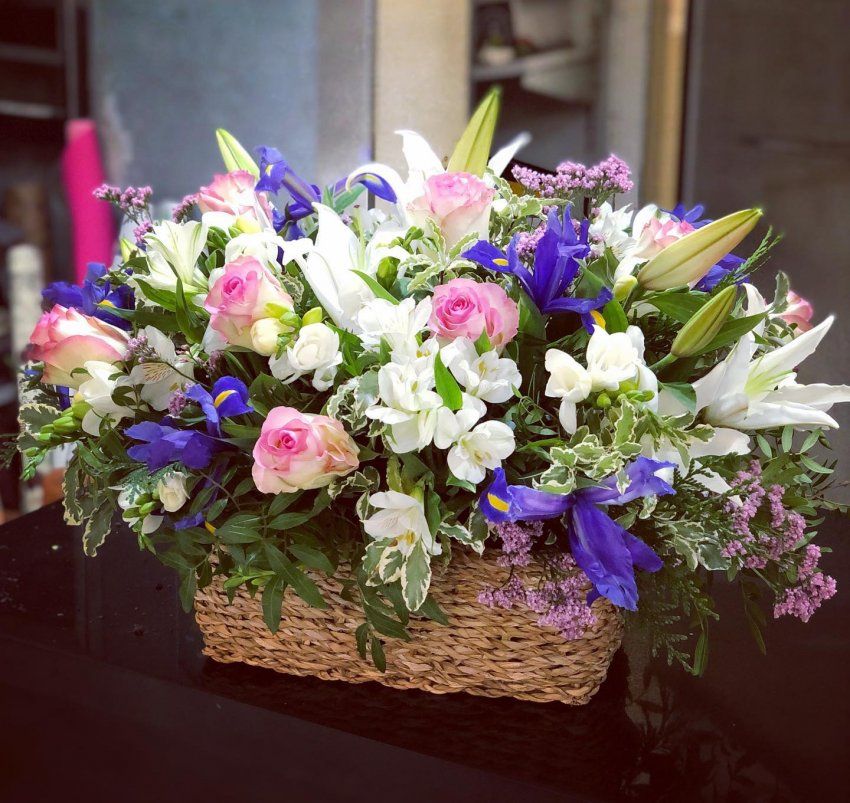 154761915 5357816730902714 3520112020283476152 o