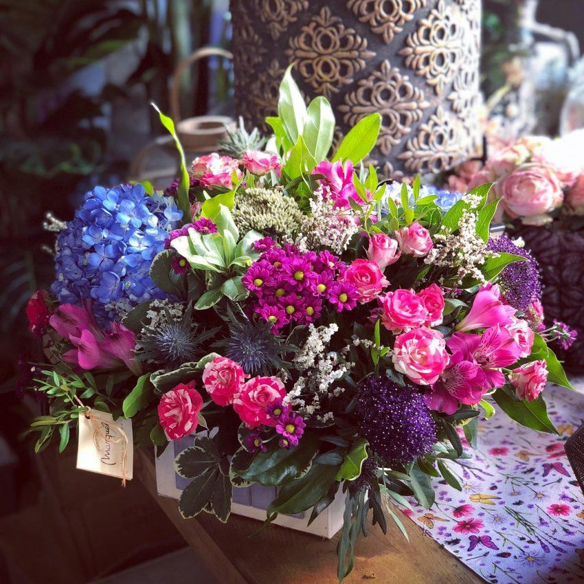 240423397 6204980982852947 3238042911861319295 n