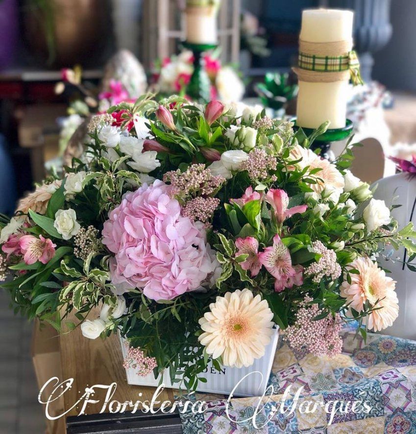 56870046 2787292467955166 6395213965965656064 n