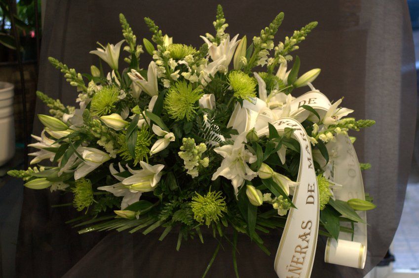 Palma blanca y verde 1