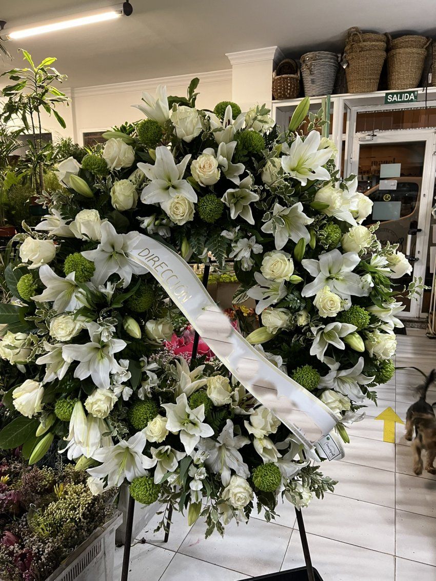 img 20221022101910 001