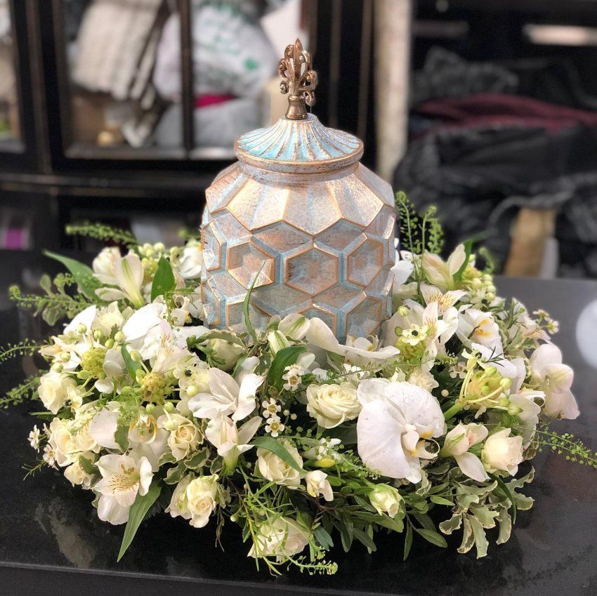 160425530 5399747953376258 5797939578323267404 o