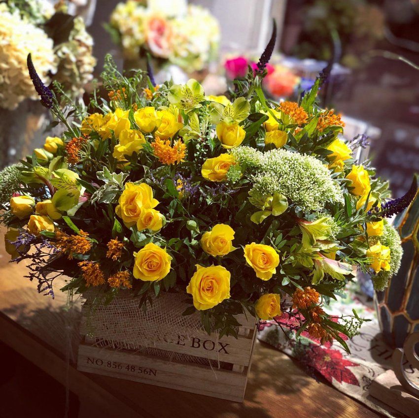 154707957 5349378488413205 8005852899507106099 n