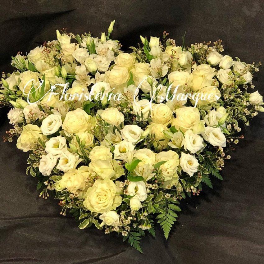 26907999 1992776097406811 3634860651988408214 n