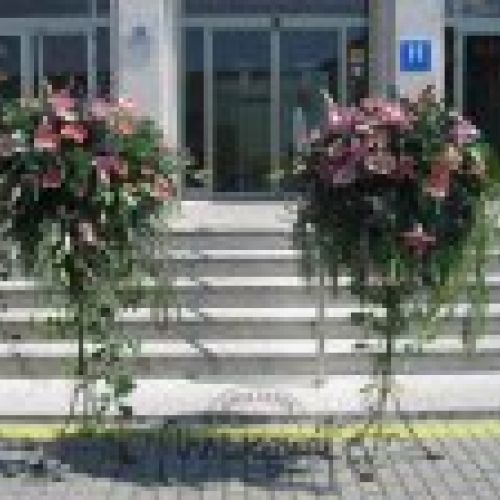 Comprar flores Ponferrada