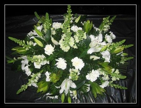 Palma blanca antirrinun , clavel y liliuns