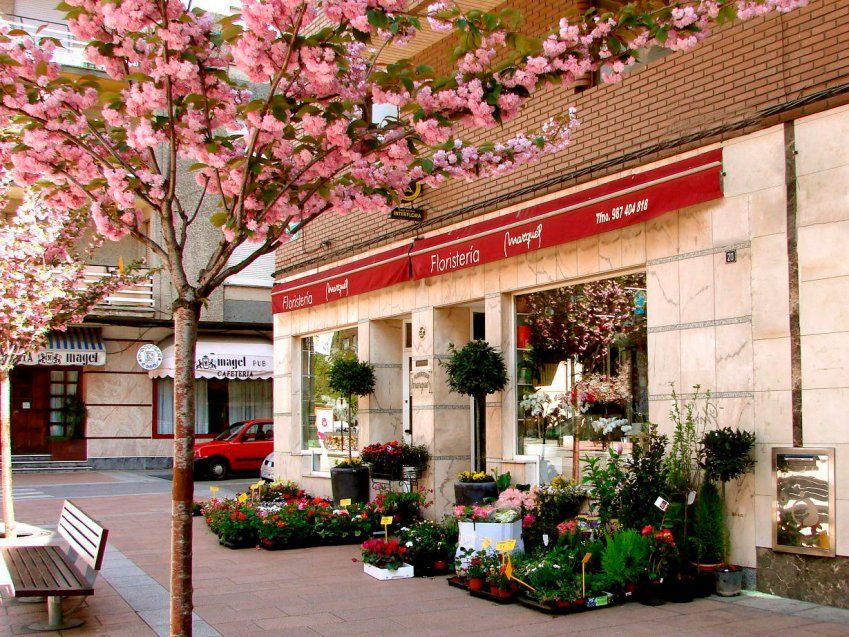 Floristería en Ponferrada