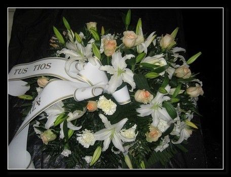 Palma liliuns y rosas champan