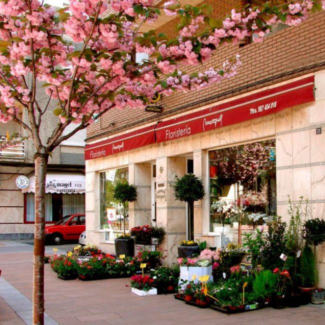 Floristería en Ponferrada