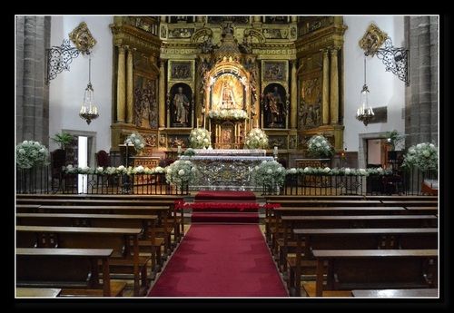 DECORACION CON PANICULATA Y HORTENSIAS