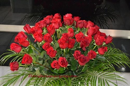 Rosas rojas