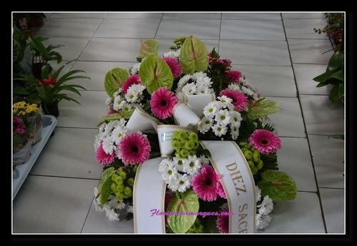 Palma con anturiuns verdes y gerberas fuxias